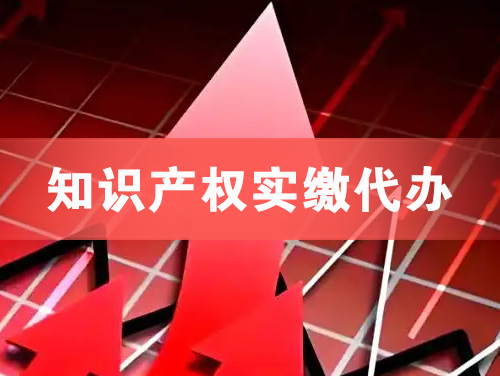 乐清知识产权实缴资本代办